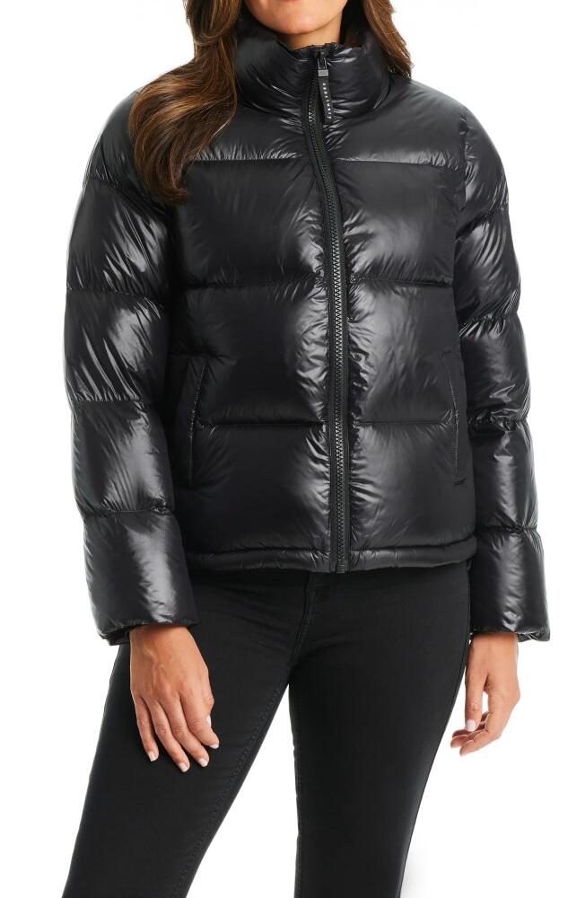 Sanctuary Core Down Puffer Jacket in Black Cover