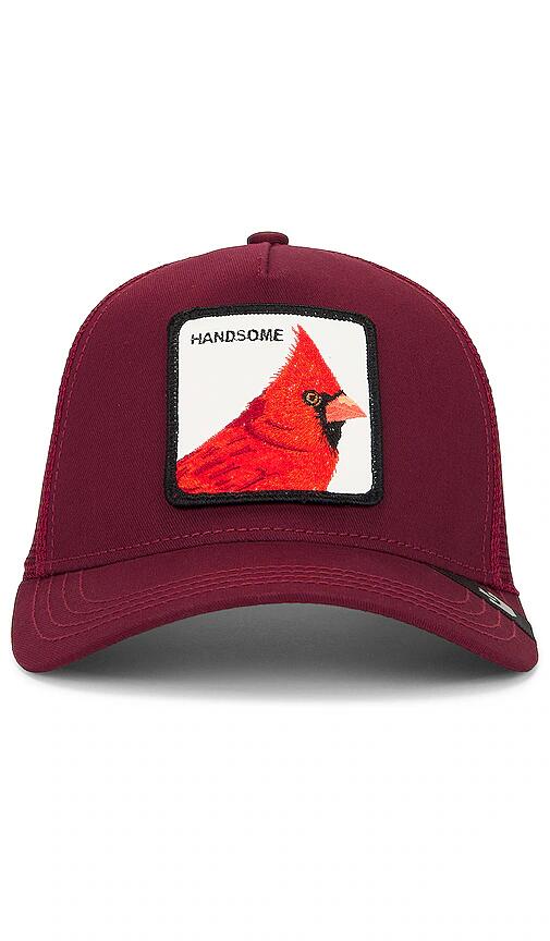 Goorin Brothers Handsome Hat in Burgundy Cover