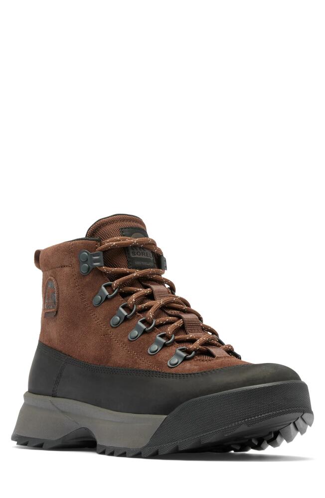 SOREL Scout 87 Pro Plus Waterproof Boot in Tobacco/Black Cover