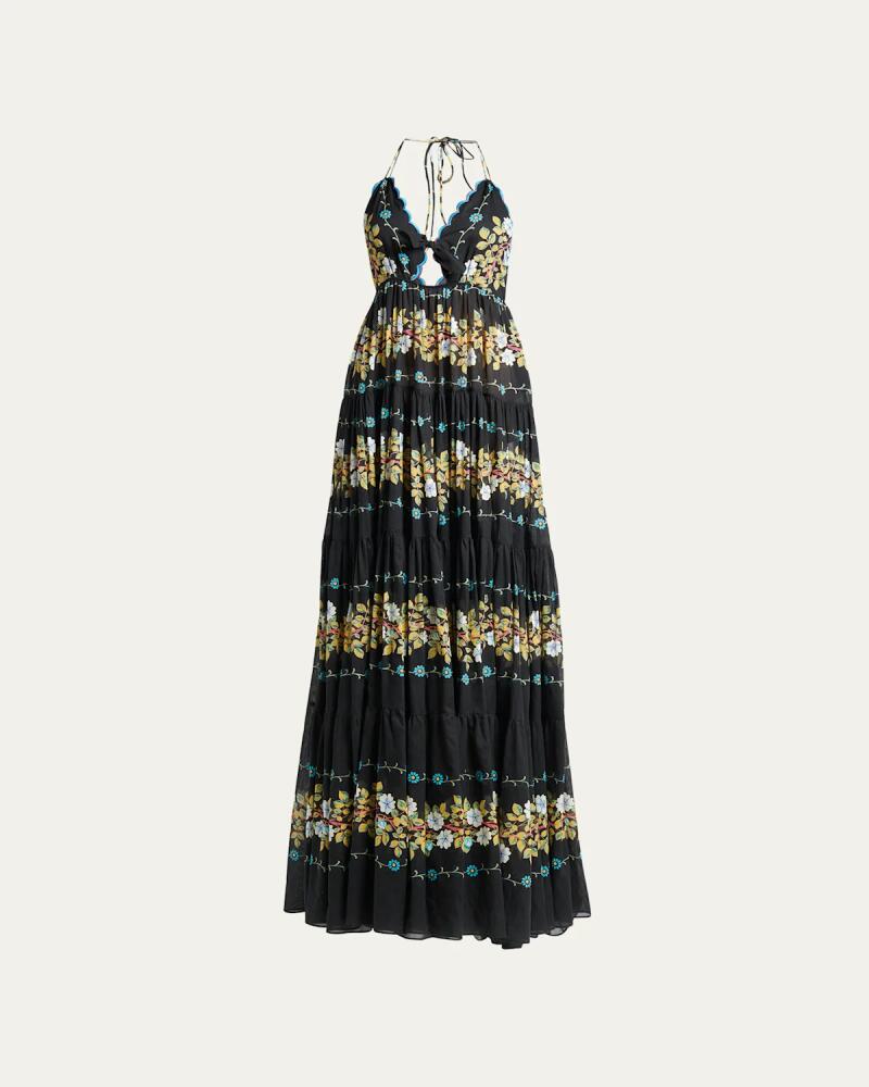 Etro Tiered Embroidered Sangallo Lace Halter Gown Cover