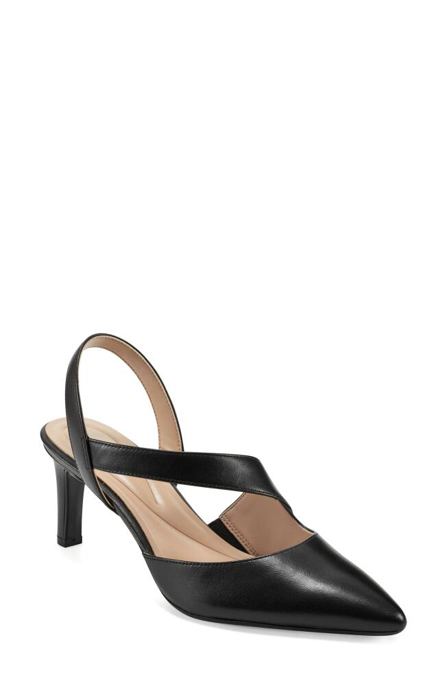 Easy Spirit Recruit Slingback Pointed Toe Pump in Black Cover