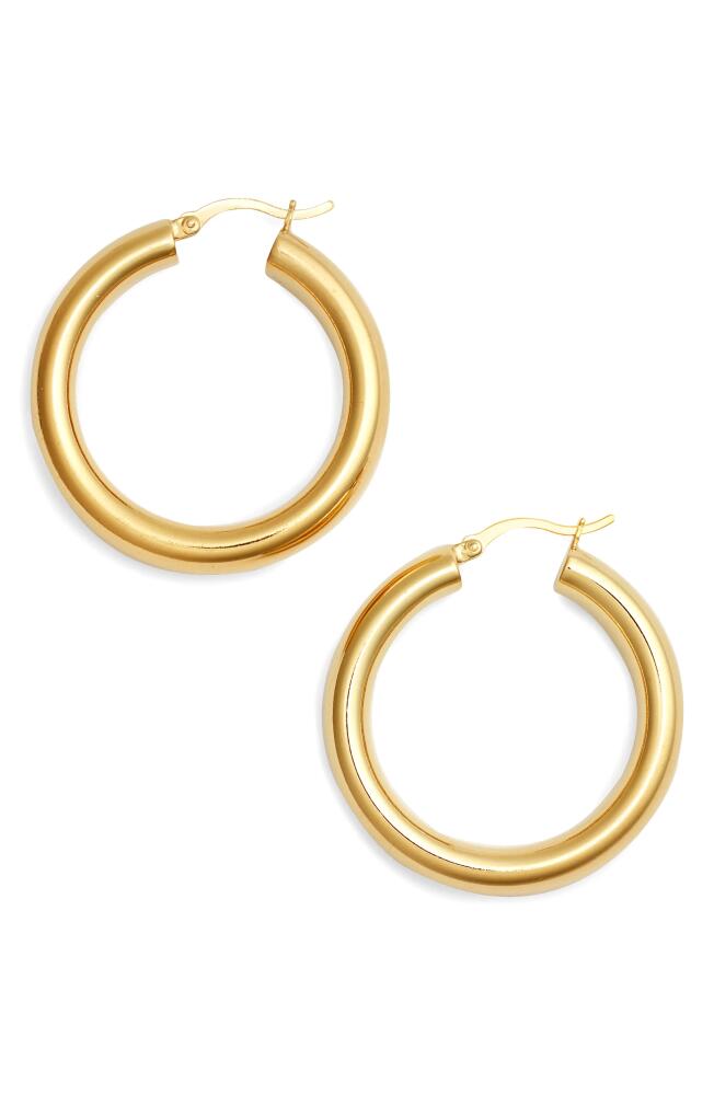 Argento Vivo Sterling Silver Hoop Earrings in Gold Cover