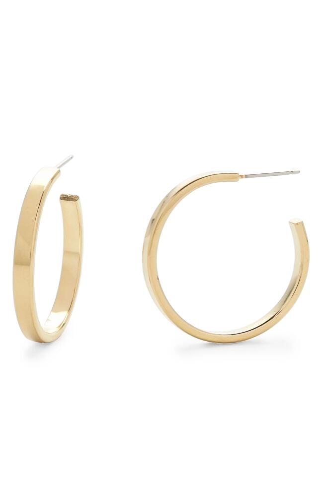 Brook and York Lexi Flat Hoop Earrings in Gold Cover