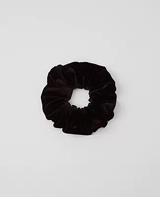 Ann Taylor Velvet Oversized Scrunchie Cover