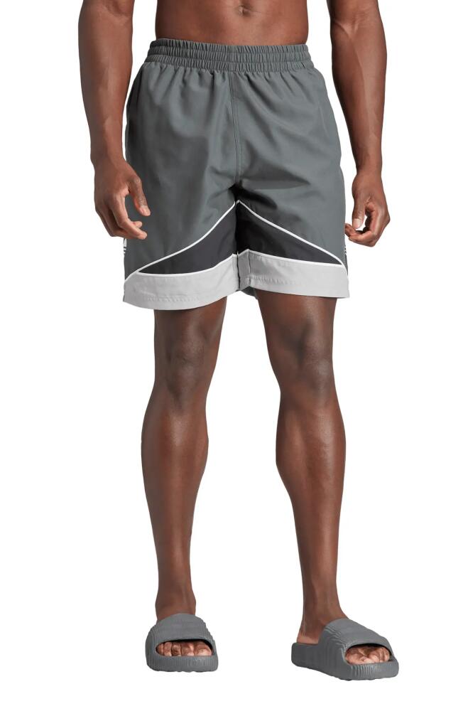 adidas CLRDO Swim Trunks in Solid Grey/Black Cover