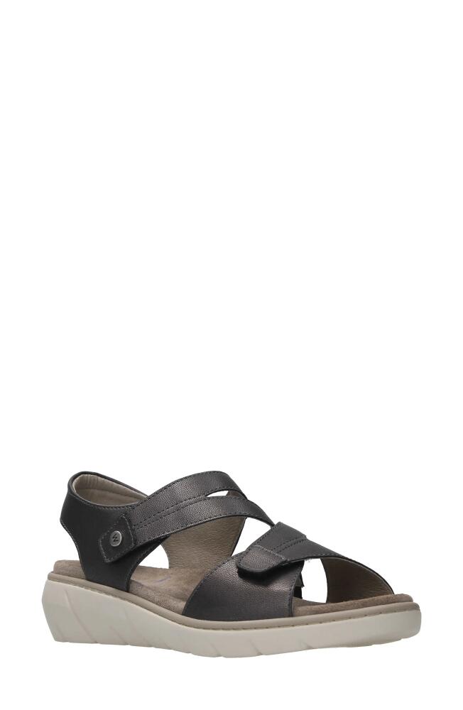 Wolky Ikaria Ankle Strap Platform Wedge Sandal in Inox Biocare Cover