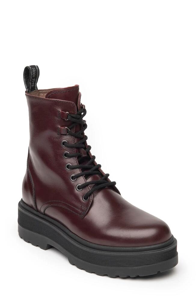 NeroGiardini Platform Combat Boot in Bordo Cover