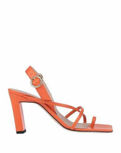 Wandler Woman Thong sandal Orange Lambskin Cover