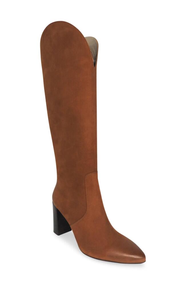 Dolce Vita Nedi Pointed Toe Knee High Boot in Brown Nubuck Cover