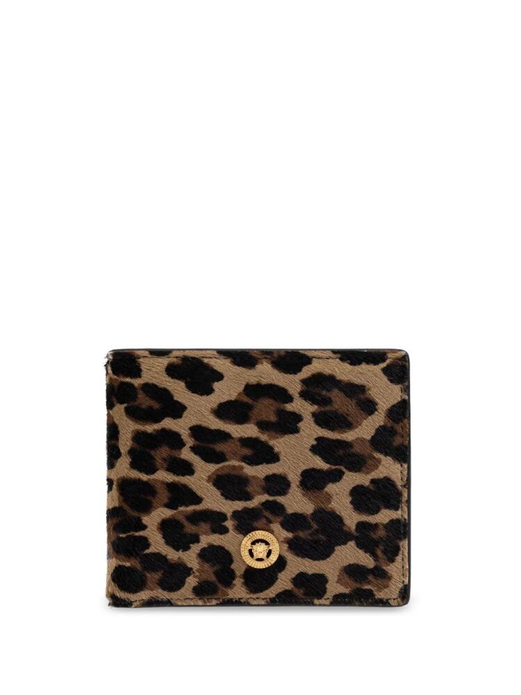 Versace Medusa printed wallet - Brown Cover