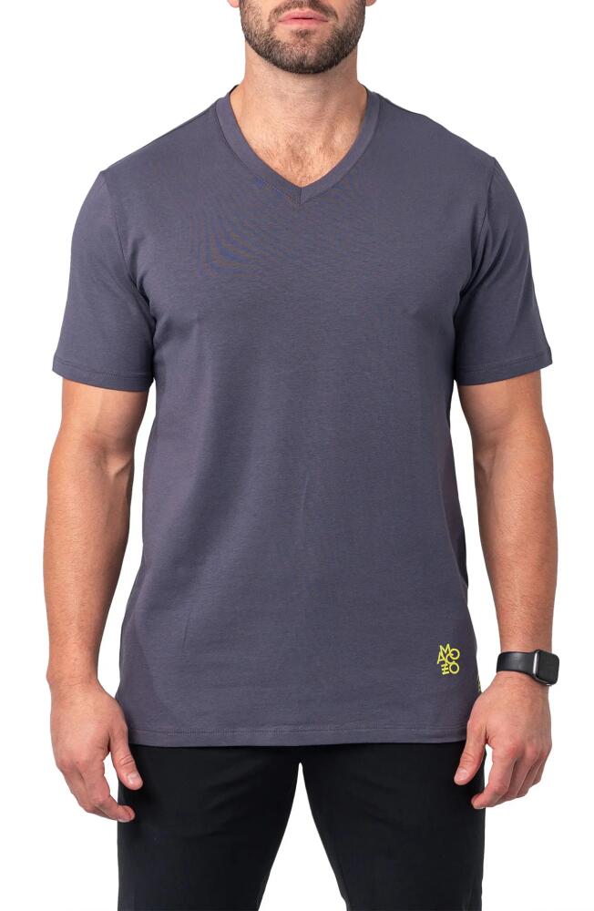 Maceoo Vivaldicore V-Neck Cotton T-Shirt in Grey Cover