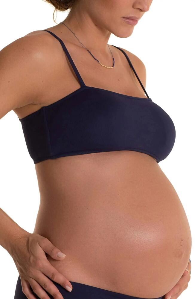 Pez D'Or Ana Bandeau Maternity Bikini Top in Navy Cover