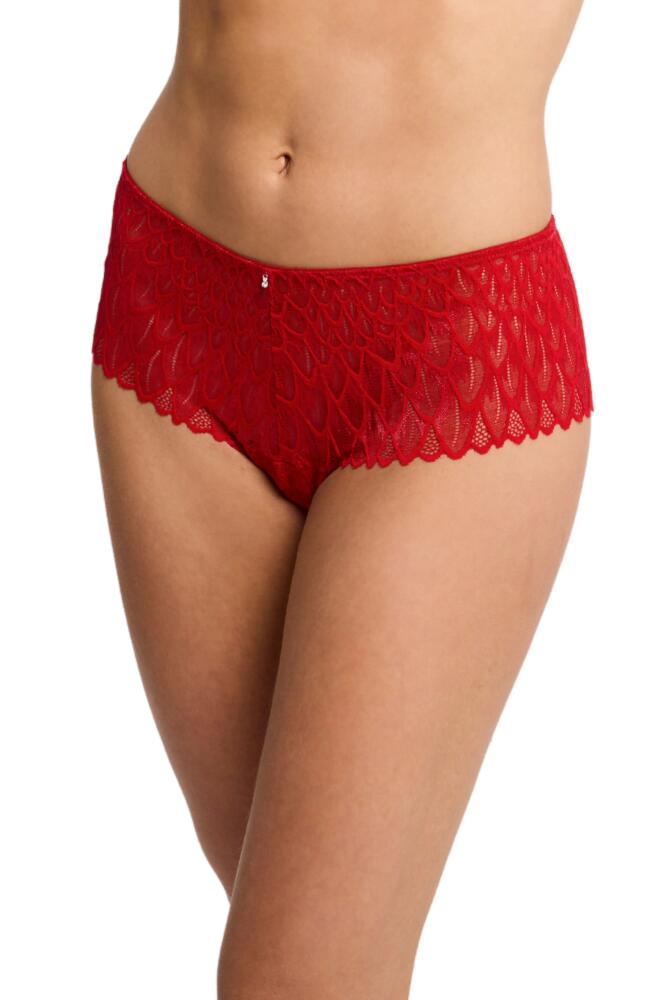 Montelle Intimates Feather Lace Brazilian Briefs in Sweet Red Cover