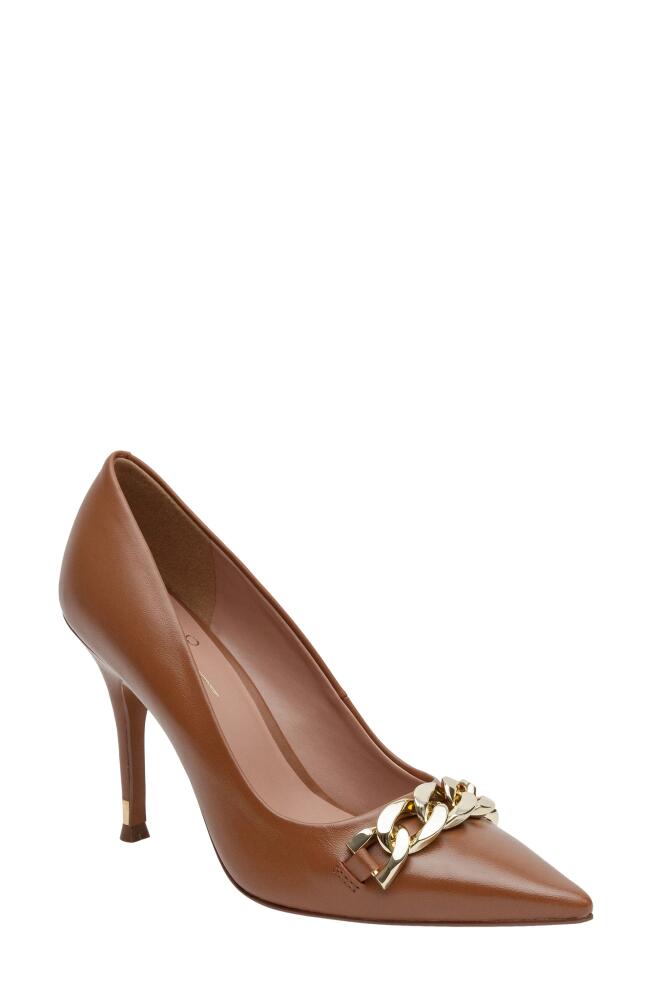 Linea Paolo Pandora Pointed Toe Pump in Cognac Cover