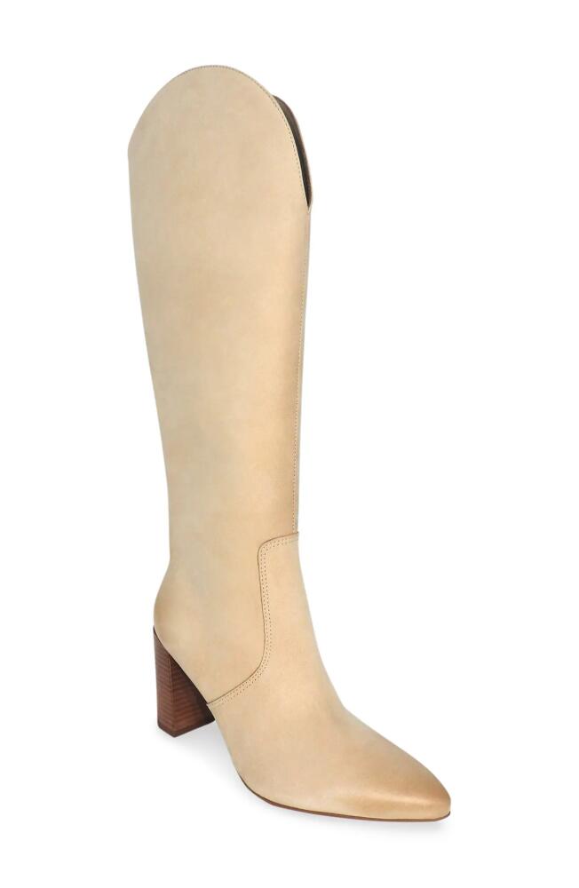 Dolce Vita Nedi Pointed Toe Knee High Boot in Dune Nubuck Cover