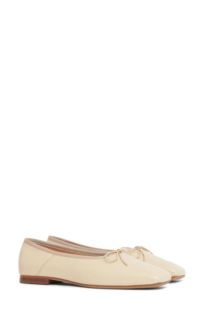 Mansur Gavriel Square Toe Ballerina Flat in Dune Cover