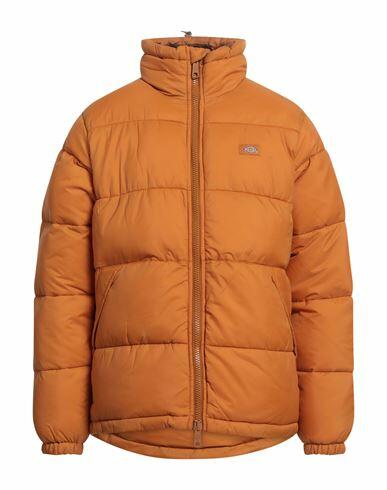 Dickies Man Puffer Mandarin Polyester Cover