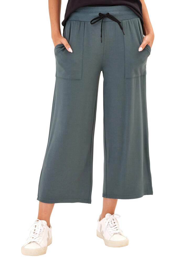 Threads 4 Thought Carrie Feather Fleece Crop Wide Leg Sweatpants in Seagrass Cover