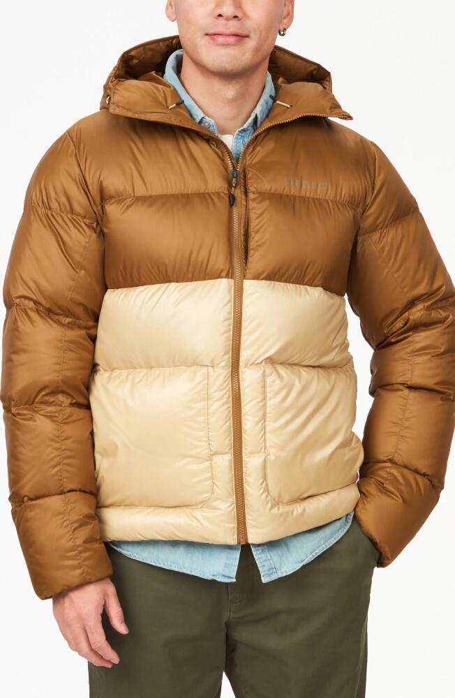 Marmot Guides 700 Fill Power Down Water Repellent Hooded Jacket in Hazel/Light Oak Cover