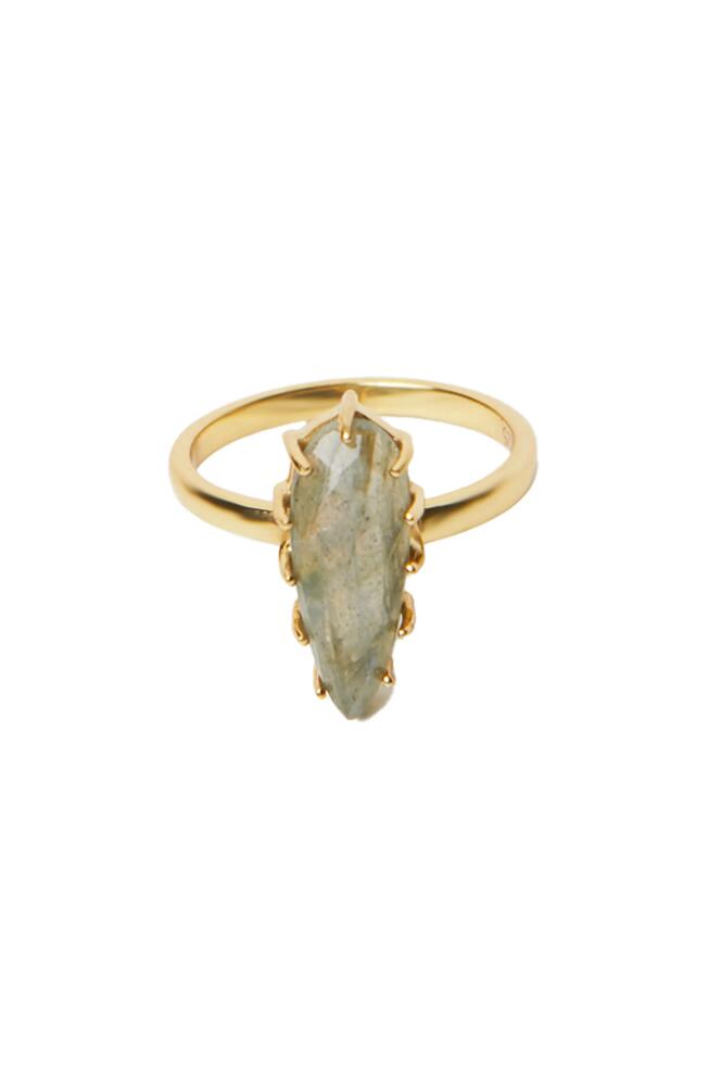 Argento Vivo Sterling Silver Labradorite Ring in Gold Cover