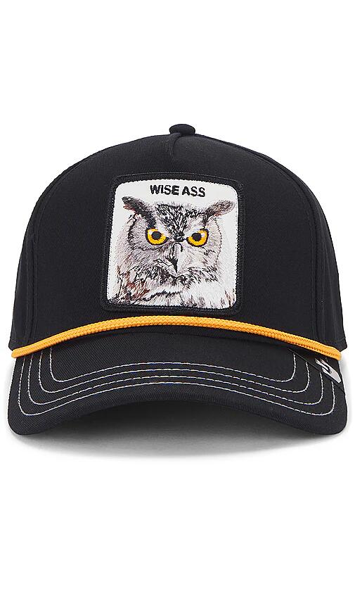 Goorin Brothers Wise Owl Hat in Black Cover