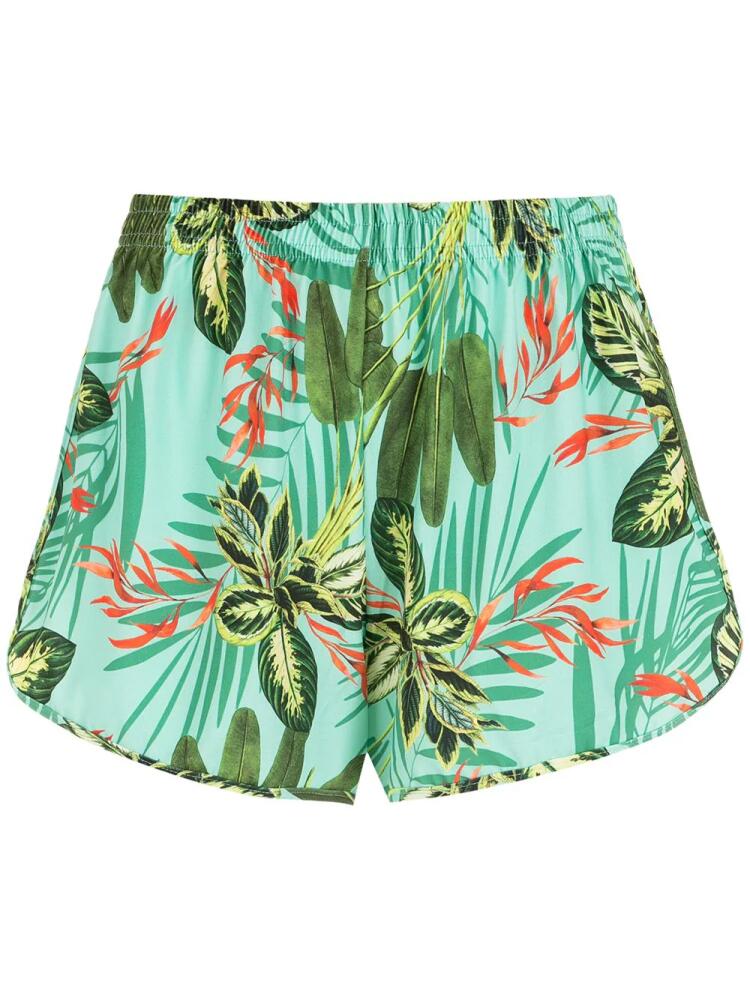 Lygia & Nanny Lee tropical print shorts - Green Cover