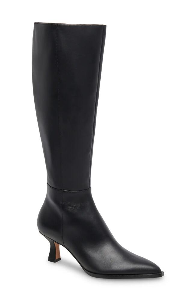 Dolce Vita Auggie Pointed Toe Knee High Boot in Black Leather Cover