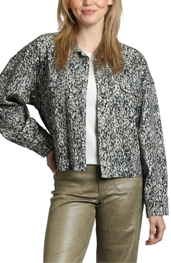 APNY Scribble Abstract Print Snap-Up Shirt Jacket in Black Multi Cover