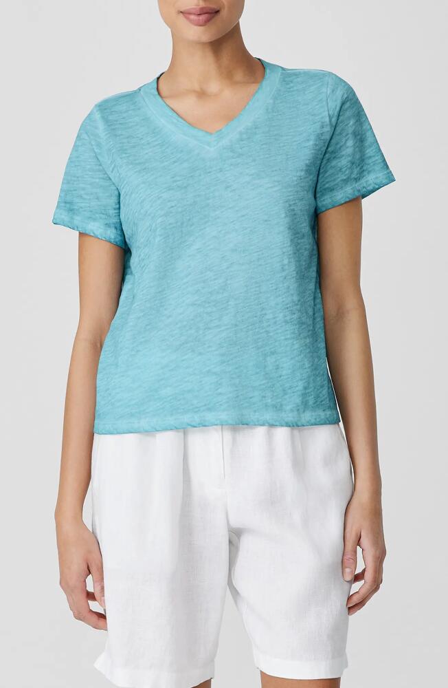 Eileen Fisher V-Neck Organic Cotton T-Shirt in Seafoam Cover