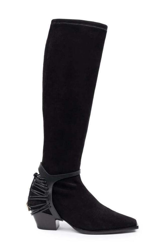 Daniella Shevel Cara Boot in Black Cover