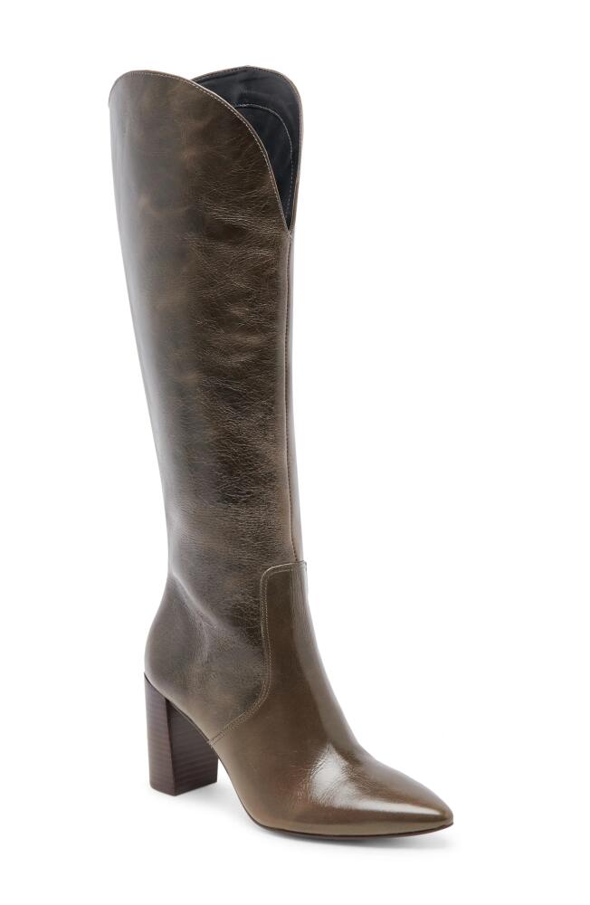 Dolce Vita Nedi Pointed Toe Knee High Boot in Dark Olive Leather Cover