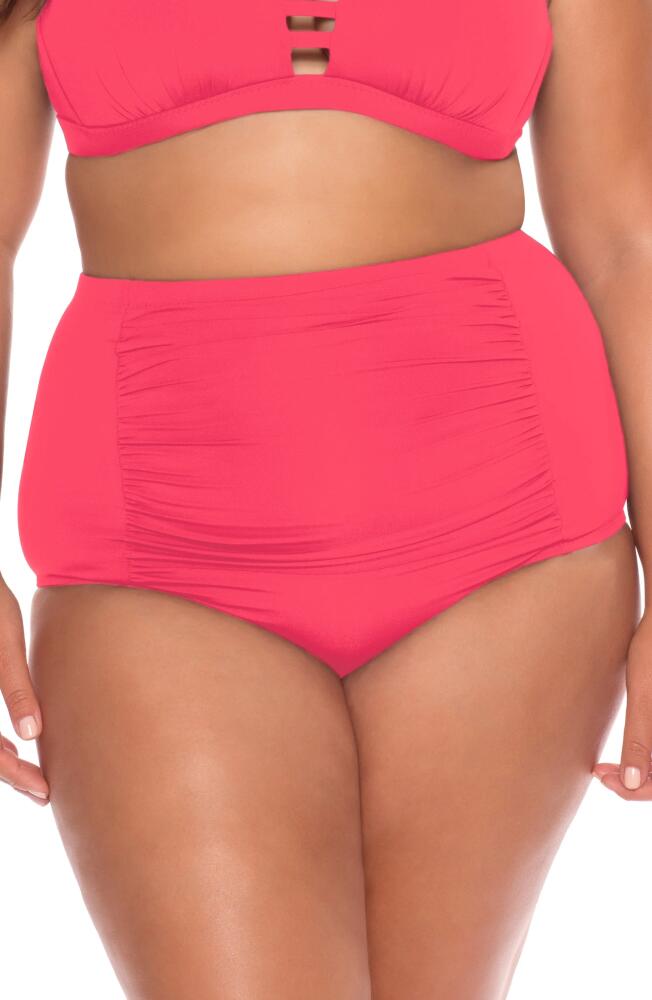 Becca High Waist Bikini Bottoms in Geranium Cover