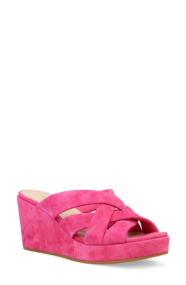 Pelle Moda Wilona Platform Wedge Slide Sandal in Hyper Pink Cover