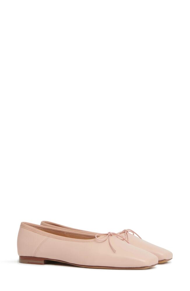 Mansur Gavriel Square Toe Ballerina Flat in Ballet Cover