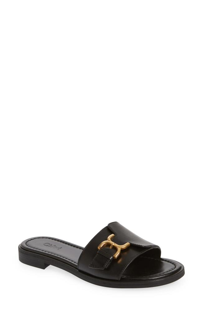 Chloé Marcie Slide Sandal in Black Cover