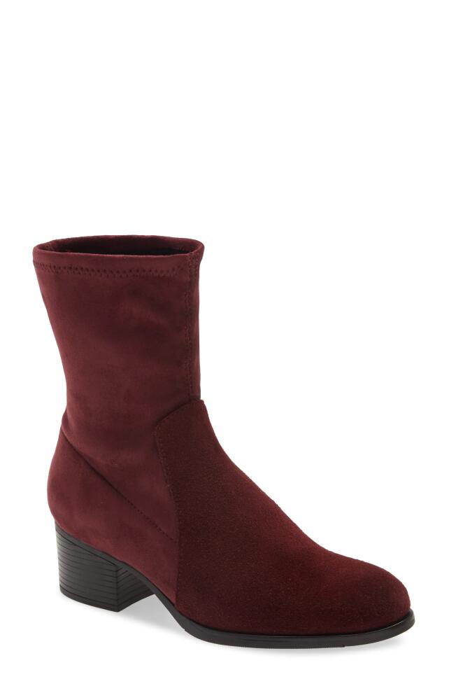 Bos. & Co. Retain Waterproof Bootie in Merlot Suede Cover