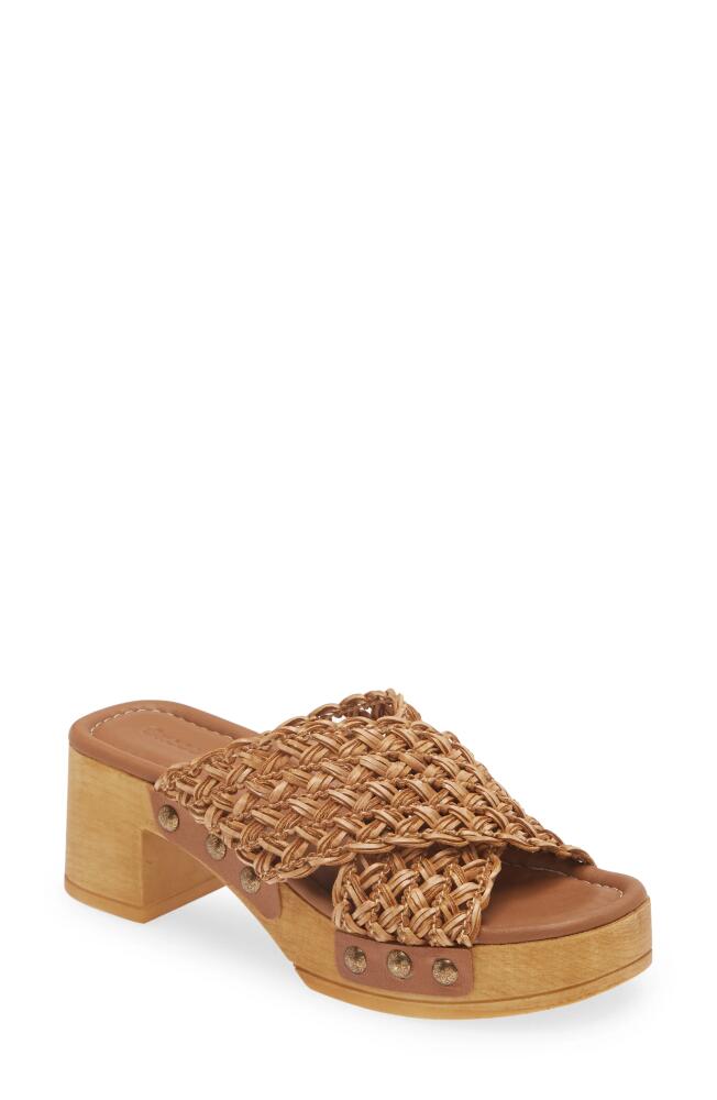 Chocolat Blu Dawn Platform Slide Sandal in Tan Cover