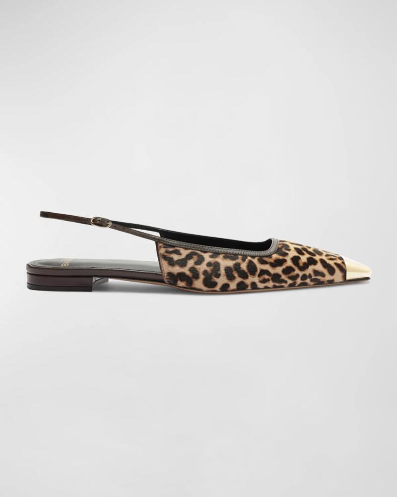 Alexandre Birman Olivia Leopard Cap-Toe Slingback Ballerina Flats Cover