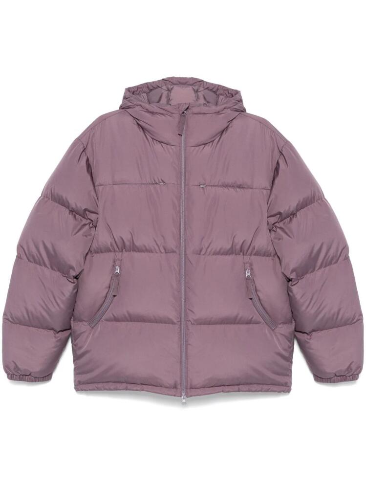 Hiking Patrol padded jacket - Purple Cover