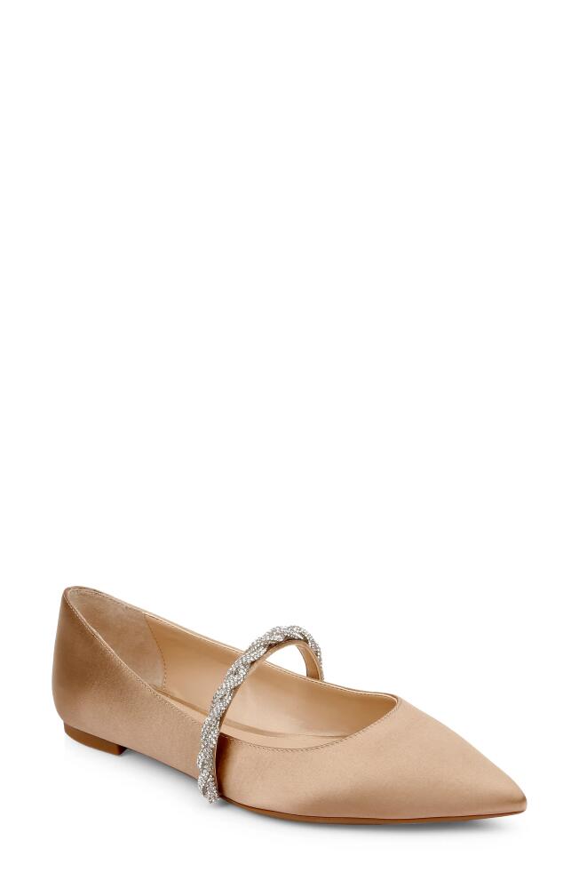 Jewel Badgley Mischka Vana Pointed Toe Flat in Dark Beige Cover