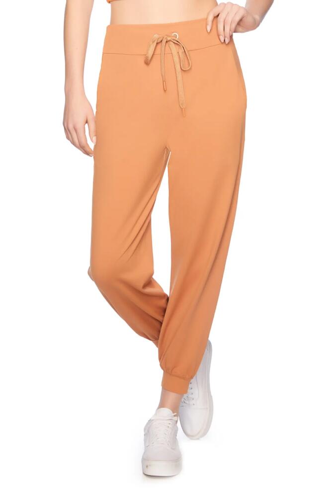 Susana Monaco Drawstring Ankle Joggers in Caramel Cover