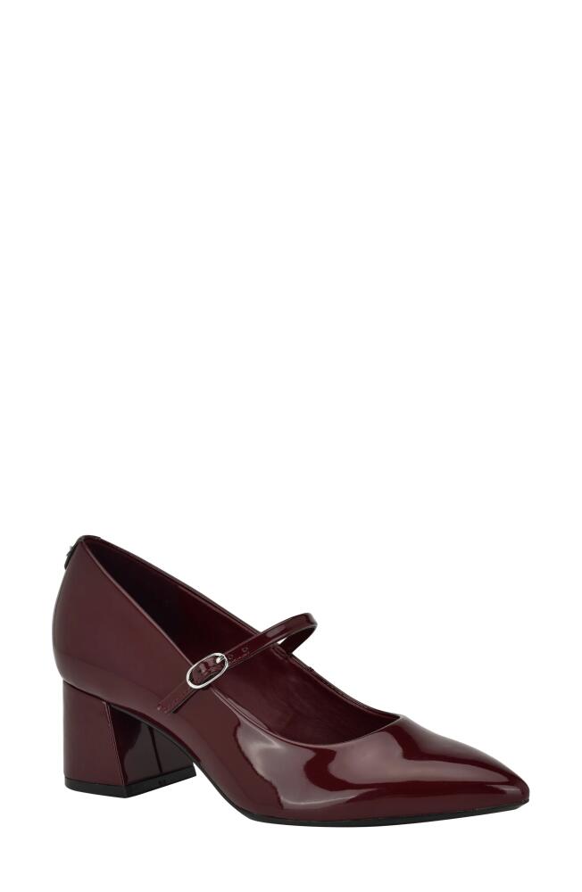 Calvin Klein Leora Pointed Toe Mary Jane Pump in Burgundy Cover