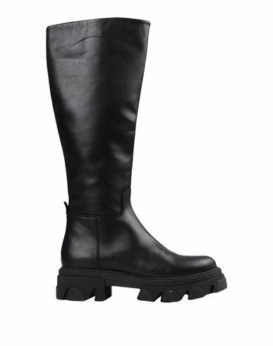 Steve Madden Woman Boot Black Bovine leather Cover