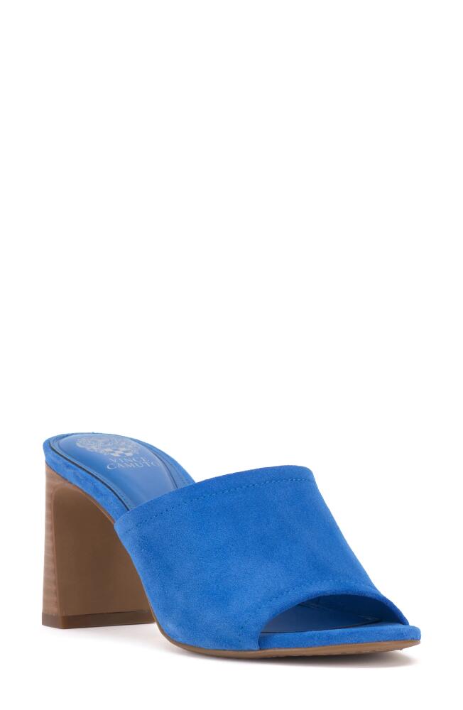 Vince Camuto Alyysa Slide Sandal in Cornflower Cover