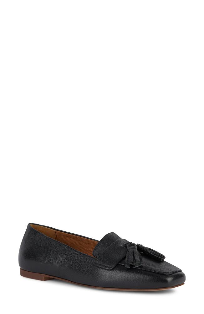 Geox Marsilea Loafer in Black Cover