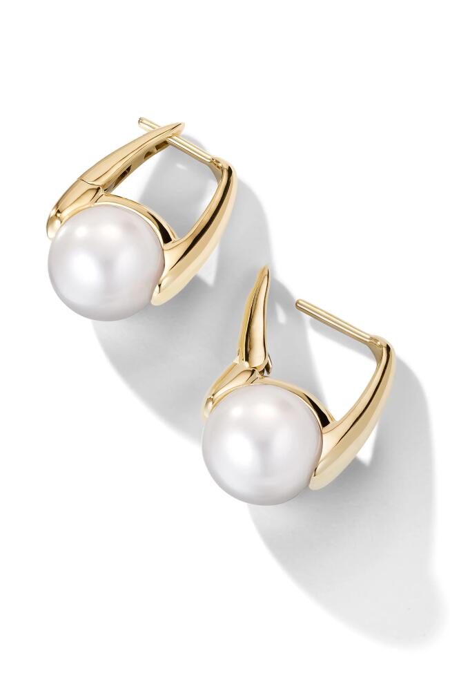 Cast The Daring South Sea Cultured Pearl Drop Earrings in Gold Cover