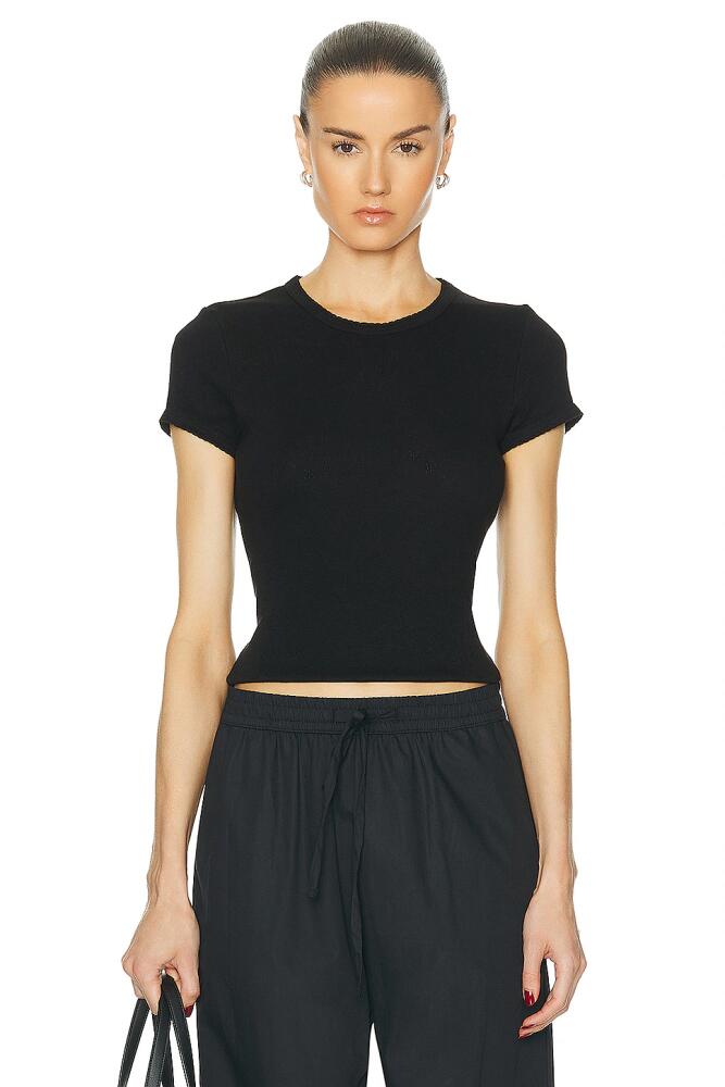 Enza Costa Scallop Edge Pointelle Cap Sleeve Tee in Black Cover