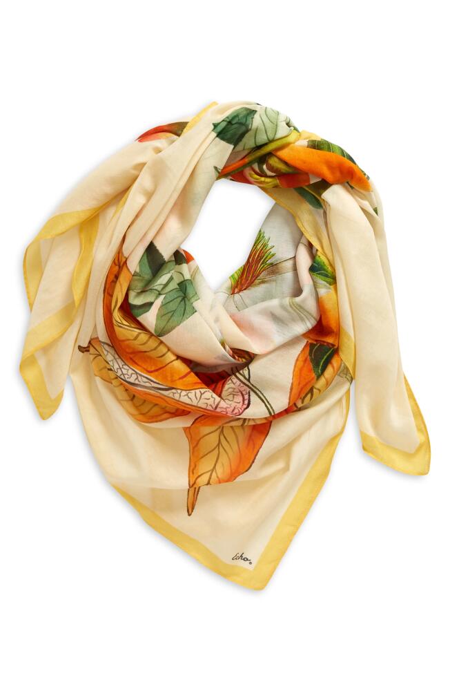 Echo Orangerie Cotton & Silk Square Scarf in Sunshine Cover