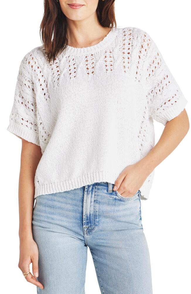 Splendid Mason Short Sleeve Sweater in White Cover