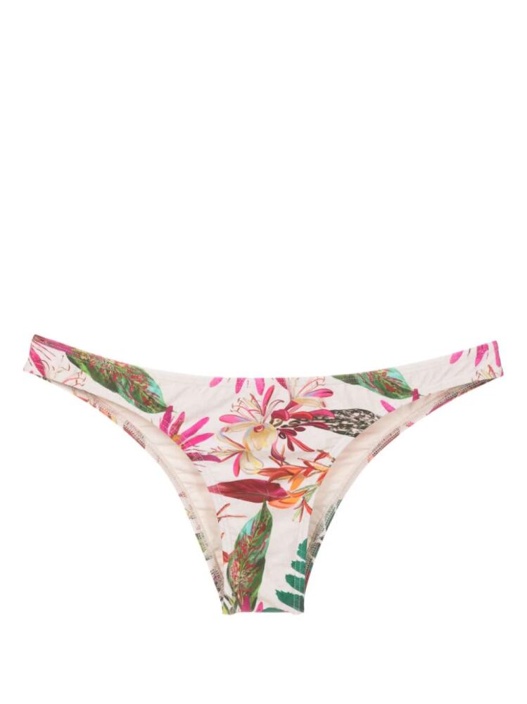 Lygia & Nanny Poipu floral-print bikini bottoms - Multicolour Cover